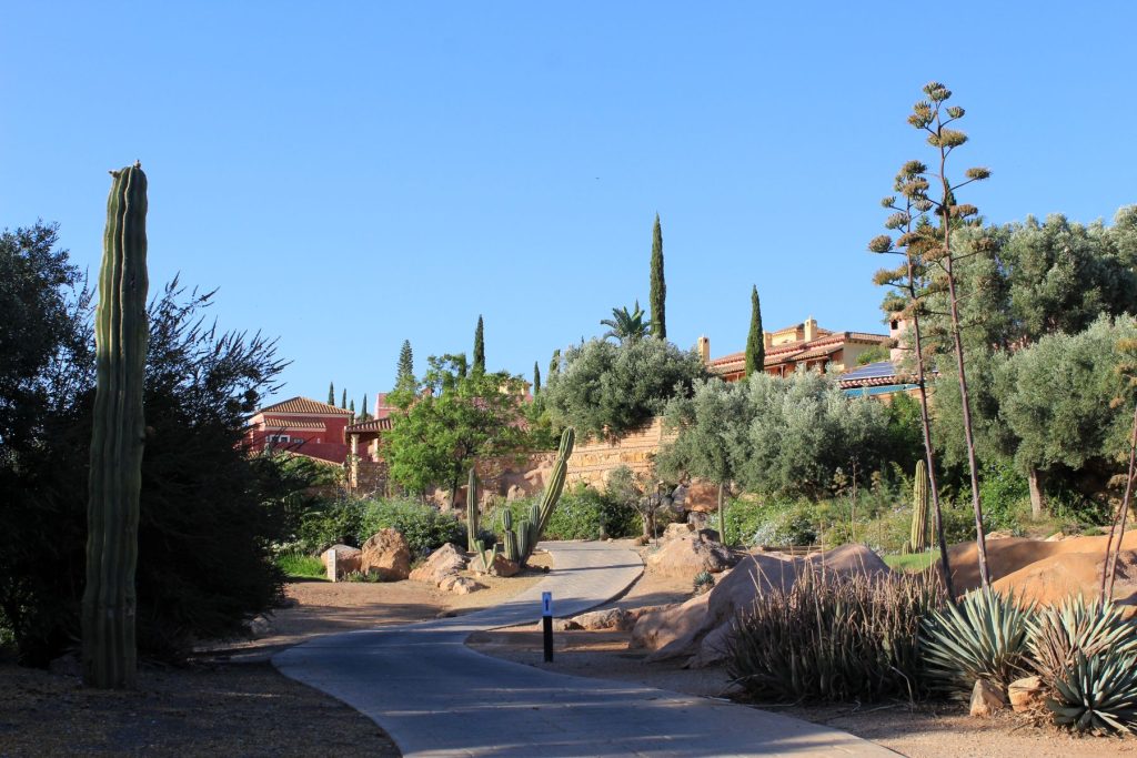 Golf de Desert Springs, une collection de cactus au milieu du village
